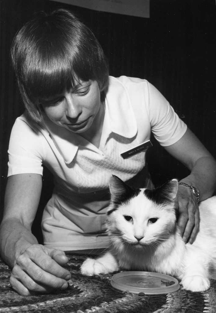#TBT Photograph taken in 1977 of a veterinarian petting a cat during Vet-a-Visit. #MSUHistory