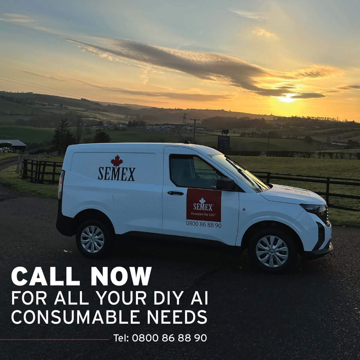 Look no further than Semex for all your DIYAI consumable needs. We supply everything from Liquid Nitrogen top-ups to inseminatio gloves. Call 0800 868890 to find out more #GeneticsForLife #GoFurtherFaster