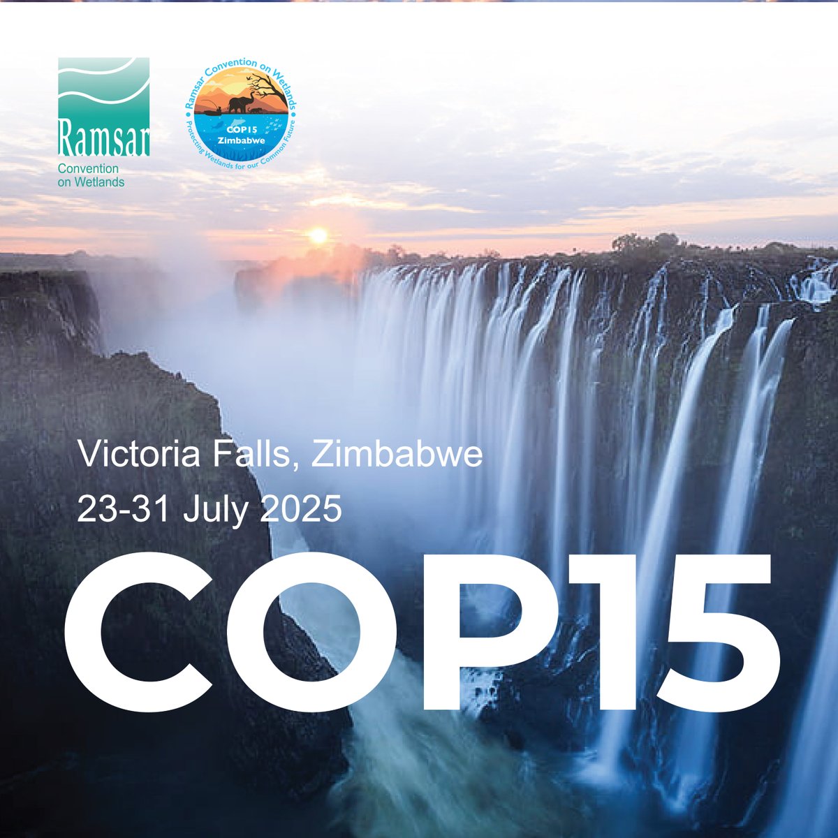 IUCN's tweet image. Ramsar COP15 concludes with strengthened global commitment to wetland restoration and inclusive #conservation.

info.iucn.org/44UlWV4

#RamsarCOP15 #COP15 @RamsarConv