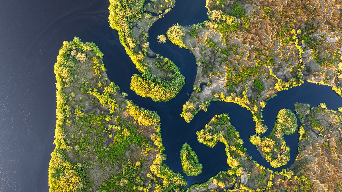 Did you know? 💡 Wetlands are one of the most productive and biodiverse habitats in the world. Although they only make up 6% of the Earth’s land surface, wetlands provide habitat or breeding areas for approximately 40% of all plant and animal species.