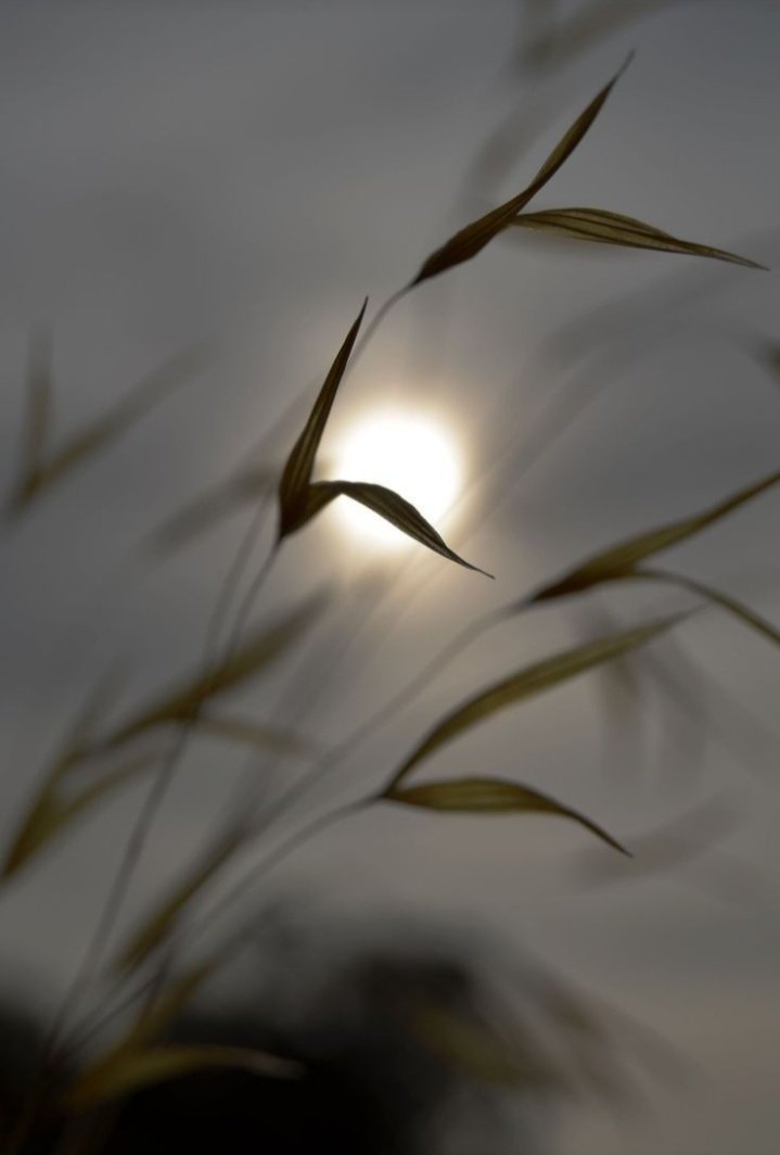 ℳ𝑎𝑟𝑐𝑜𝑤𝑎 (@marcowa_x) on Twitter photo 