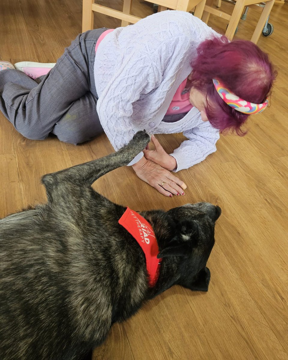 Cŵn Cymorth Cariad / Cariad Pet Therapy (@cariadpet) on Twitter photo Marco on his last visit before his summer break to Bro Preseli Day Centre in Crymych - have a wonderful break Marco, Karen and Ally ❤️ <a href="/Pembrokeshire/">PembrokeshireCC</a> Marco on his last visit before his summer break to Bro Preseli Day Centre in Crymych - have a wonderful break Marco, Karen and Ally ❤️ <a href="/Pembrokeshire/">PembrokeshireCC</a>