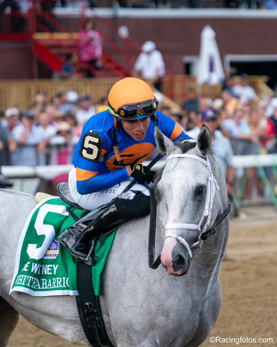 White Abarrio won the Whitney Stakes (G1) in 2023. He is one of the headliners for this year’s race, which is on Saturday.
