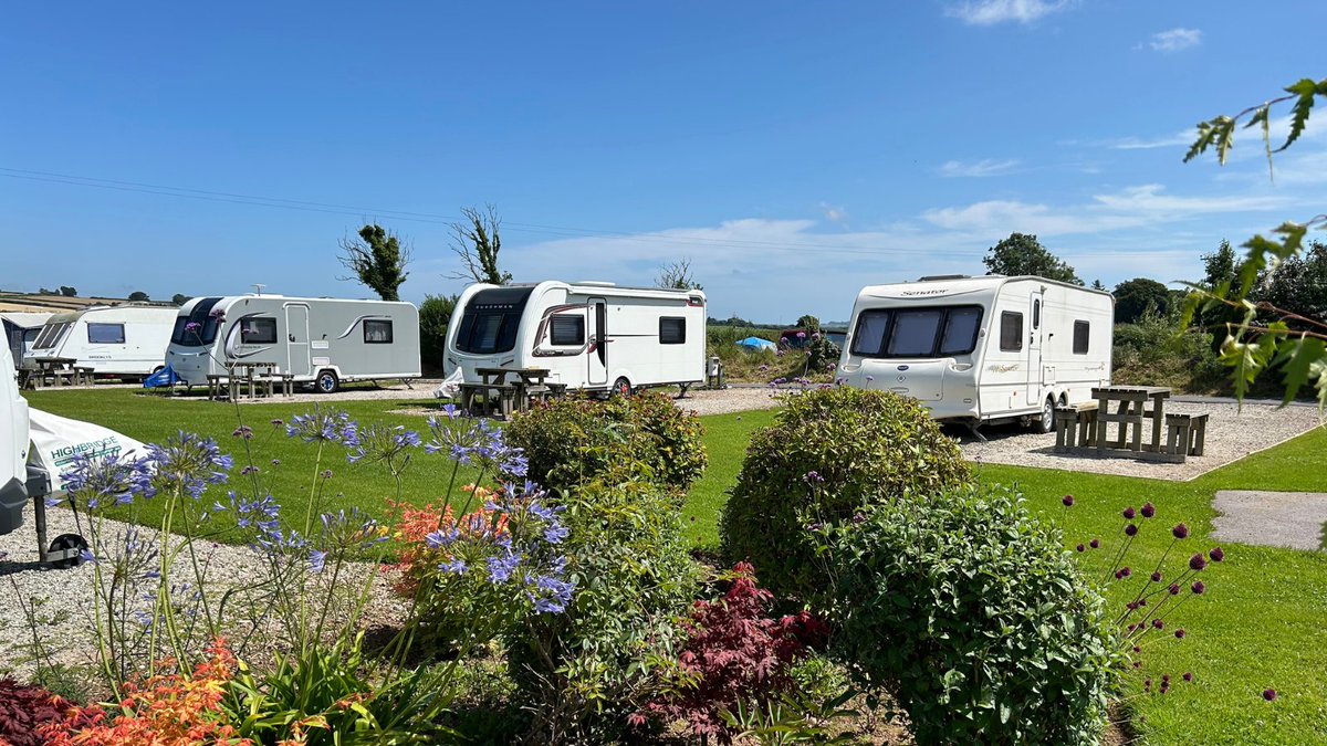 👋 Morning! 

🤗This is 1 of 2 DOG-FREE Tranquil Parks: 
Parkland Caravan, Camping &amp; Glamping Site in the South Hams AONB nr Salcombe and Kingsbridge, South  Devon.

🤔For a bonus point, can you name the other one❓😃