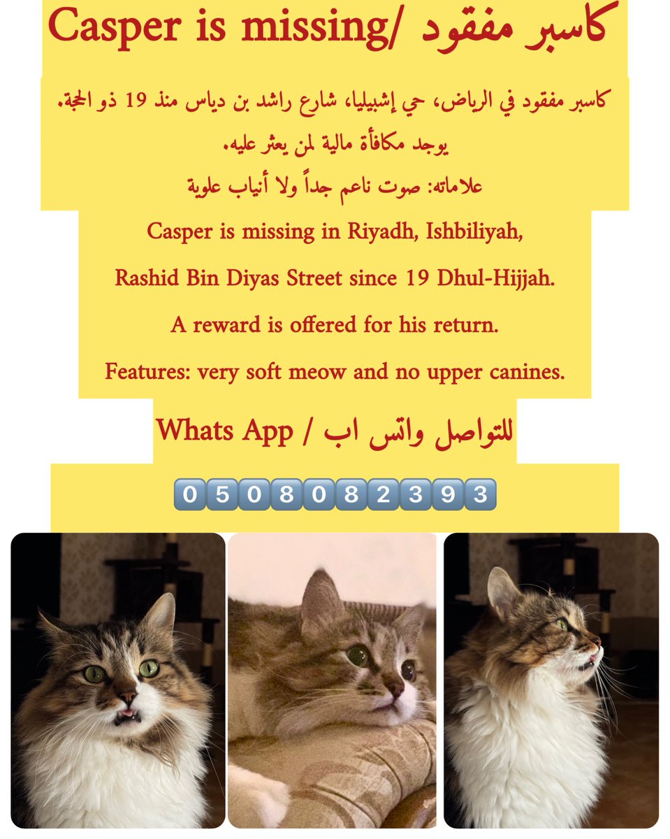 مفقود قطنا الحبيب "كاسبر" بالرياض - مكافأة مجزية لمن يعثر عليه! ❤️
<a href="/Animal_rescue0/">🐈</a> <a href="/resqueingcats/">قطط مفقوده وتبني شمال الرياض</a> <a href="/lostnfound_sa/">Lost & Found Pets in KSA</a> <a href="/cats2017_/">🇸🇦 Abdullah</a> <a href="/AlaaAlaqili/">Alaa Alaqili</a> <a href="/foGVHe45mLwqnbl/">اعلان عن قطط مفقوده فالرياض</a> <a href="/ftomy2021/">فطومي 😻🐾🐾</a> <a href="/Hneen_neen/">🐾H@neen🐾</a> <a href="/Kngl0/">الملك ليو</a> <a href="/ll2lll2ll/">آنسة عطية</a> <a href="/md_4x/">Munira</a> <a href="/CatMaaannn/">Cat Man</a> <a href="/Bandar_870/">بَنْدّر</a> <a href="/smaljohani/">سعيد ابو نوره</a> 

#تبنى_لاتشتري
#كاسبر
#حيوانك_المفقود