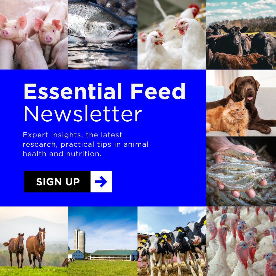 From evolving market pressures to breakthrough nutrition strategies, our latest newsletter delivers expert perspectives and real-world solutions to help you navigate what’s next in animal production.​

Subscribe now: zinp.ro/3ZOMILF