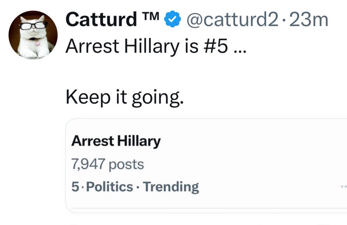 So now MAGA influencers like Catshit trying to distract from Epstein files and Obama Hoax with new Hillary hoax. You can’t make this shit up.