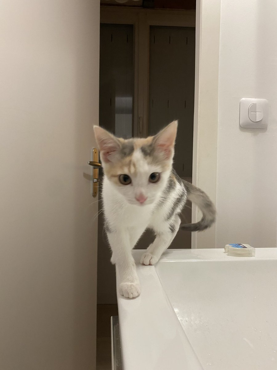 comment ne pas craquer face à une #toupiebibi aussi mimi ? 🍼