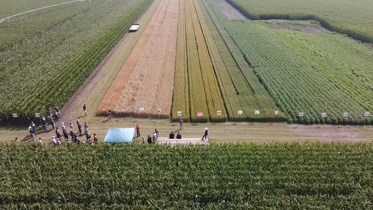 Jefferies Seeds tweet media