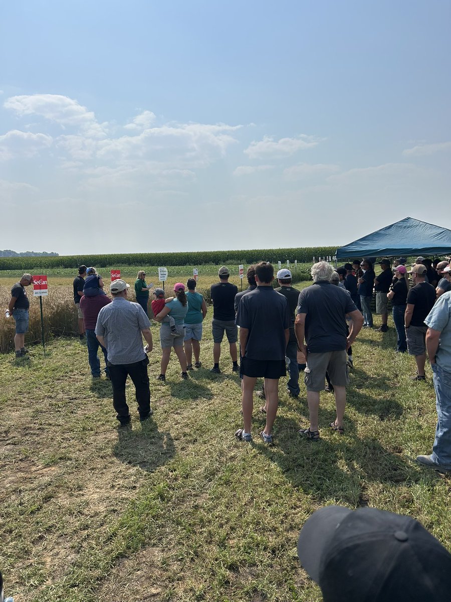 Jefferies Seeds tweet media