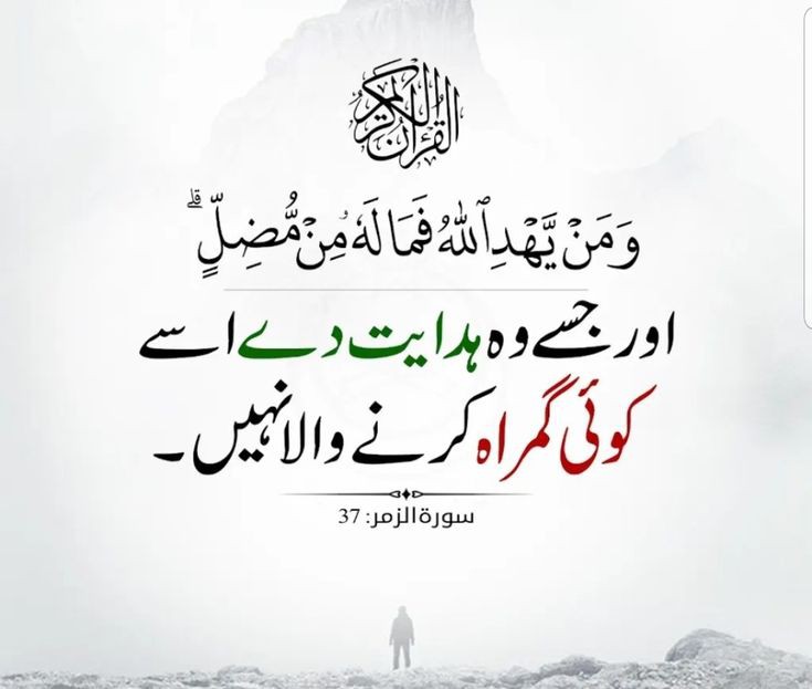 Amber Baig (@7ambr) on Twitter photo #PAK_PG
<a href="/_tnr1/">Hafiz tanveer ahmad</a> <a href="/0fozi_/">Fauzia</a> <a href="/frq04/">Muhammad Farooq Ahmad</a> @Rnapt
<a href="/Fk0_1/">Shahid (lover pti)</a> <a href="/786F_/">Shahid</a> <a href="/S111_9/">SHAHID MEHMOOD</a> <a href="/P0_27/">PTI_PROMO</a>
@s4566 <a href="/1i2Ua/">🇦 🇭 🇲 🇪 🇩 🇷 🇮 🇦 🇿𝓲𝓹𝓲𝓪𝓷</a> <a href="/1i3Ua/">🇦 🇭 🇲 🇪 🇩</a> <a href="/TP7i1/">★☯𝑩𝒉𝒂𝒊༒〄</a>
<a href="/shz787/">🌟⭐️🌟🌟sʜᴀʜᴢᴀᴅ ᴍᴜɴɪʀ🌟⭐️🌟⭐️</a>
<a href="/shZ447/">𝕊𝕙𝕒𝕙𝕫𝕒𝕕 𝕄𝕦𝕟𝕚𝕣</a>
<a href="/Trq88/">✍︎⸙𝐓αɾιϙ 𝐌υɾƚαȥα࿈</a> <a href="/Triq25/">⤹𝙈𝙪𝙝𝙖𝙢𝙢𝙖𝙙 𝙏𝙖𝙧𝙞𝙦⤸</a>
<a href="/Khld36/">✍𝙆𝙝𝙖𝙡𝙞𝙙 𝙃𝙪𝙨𝙖𝙞𝙣✍⳼</a> <a href="/Frhn42/">★𝙁𝙧𝙝𝙖𝙣 𝘼𝙝𝙢𝙚𝙙★</a>
<a href="/Tzb_1/">تہذیب</a> <a href="/FK_71/">Fãhêêmkhãn</a> <a href="/58Yas_/">Muhammad Yaseen</a>
<a href="/imra0b/">Goat city Form</a> <a href="/imrnv/">CH Imran</a>
<a href="/_ah064/">Ahmad</a> <a href="/6Jan11/">jan</a>
<a href="/Jann064/">Ahmad Jan</a>
<a href="/Bla_Here/">🅰🅱🅳🆄🅻🅻🅰🅷𝓲𝓹𝓲𝓪𝓷</a>
<a href="/TSC143_/">آفیسرز</a> <a href="/1Lvz0/">𝐿𝒶v𝑒𝑒𝓏𝒶_🍃</a> <a href="/_0zoi/">Zoya Hamid</a>
<a href="/frq06/">Farooq</a> <a href="/frq05/">Farooq Ahmad</a> <a href="/frq_5/">m farooq</a>
<a href="/F7861_/">Rana Fahid</a> <a href="/0MRK_/">Mahrukh Khan</a> <a href="/7Ambr/">Amber Baig</a> #PAK_PG
<a href="/_tnr1/">Hafiz tanveer ahmad</a> <a href="/0fozi_/">Fauzia</a> <a href="/frq04/">Muhammad Farooq Ahmad</a> @Rnapt
<a href="/Fk0_1/">Shahid (lover pti)</a> <a href="/786F_/">Shahid</a> <a href="/S111_9/">SHAHID MEHMOOD</a> <a href="/P0_27/">PTI_PROMO</a>
@s4566 <a href="/1i2Ua/">🇦 🇭 🇲 🇪 🇩 🇷 🇮 🇦 🇿𝓲𝓹𝓲𝓪𝓷</a> <a href="/1i3Ua/">🇦 🇭 🇲 🇪 🇩</a> <a href="/TP7i1/">★☯𝑩𝒉𝒂𝒊༒〄</a>
<a href="/shz787/">🌟⭐️🌟🌟sʜᴀʜᴢᴀᴅ ᴍᴜɴɪʀ🌟⭐️🌟⭐️</a>
<a href="/shZ447/">𝕊𝕙𝕒𝕙𝕫𝕒𝕕 𝕄𝕦𝕟𝕚𝕣</a>
<a href="/Trq88/">✍︎⸙𝐓αɾιϙ 𝐌υɾƚαȥα࿈</a> <a href="/Triq25/">⤹𝙈𝙪𝙝𝙖𝙢𝙢𝙖𝙙 𝙏𝙖𝙧𝙞𝙦⤸</a>
<a href="/Khld36/">✍𝙆𝙝𝙖𝙡𝙞𝙙 𝙃𝙪𝙨𝙖𝙞𝙣✍⳼</a> <a href="/Frhn42/">★𝙁𝙧𝙝𝙖𝙣 𝘼𝙝𝙢𝙚𝙙★</a>
<a href="/Tzb_1/">تہذیب</a> <a href="/FK_71/">Fãhêêmkhãn</a> <a href="/58Yas_/">Muhammad Yaseen</a>
<a href="/imra0b/">Goat city Form</a> <a href="/imrnv/">CH Imran</a>
<a href="/_ah064/">Ahmad</a> <a href="/6Jan11/">jan</a>
<a href="/Jann064/">Ahmad Jan</a>
<a href="/Bla_Here/">🅰🅱🅳🆄🅻🅻🅰🅷𝓲𝓹𝓲𝓪𝓷</a>
<a href="/TSC143_/">آفیسرز</a> <a href="/1Lvz0/">𝐿𝒶v𝑒𝑒𝓏𝒶_🍃</a> <a href="/_0zoi/">Zoya Hamid</a>
<a href="/frq06/">Farooq</a> <a href="/frq05/">Farooq Ahmad</a> <a href="/frq_5/">m farooq</a>
<a href="/F7861_/">Rana Fahid</a> <a href="/0MRK_/">Mahrukh Khan</a> <a href="/7Ambr/">Amber Baig</a>