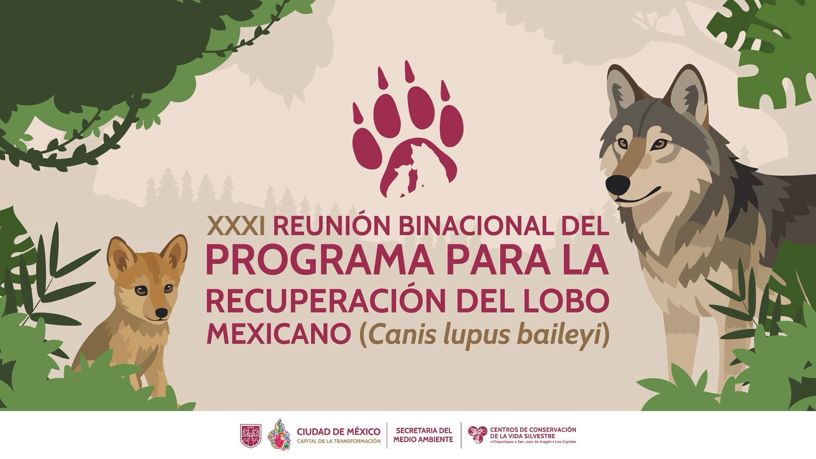 Centros de Conservación de la Vida Silvestre CDMX on X: "El 31 de julio y 1 de agosto, el Centro de Conservación de la Vida Silvestre de Chapultepec es sede de la
