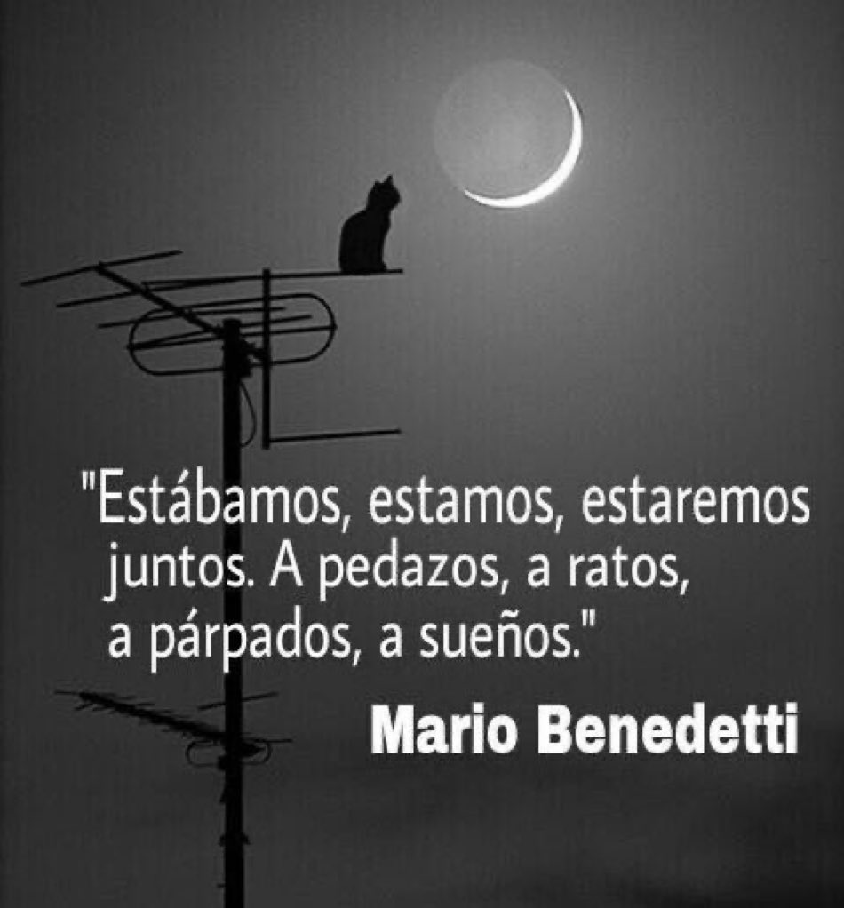 Estávamos, estamos, estaremos juntos. Em pedaços, em partes, em piscadelas, em sonhos.

Grande Benedetti!
O Uruguai transpira poesia…

<a href="/Solon_stos/">Solôn</a>
