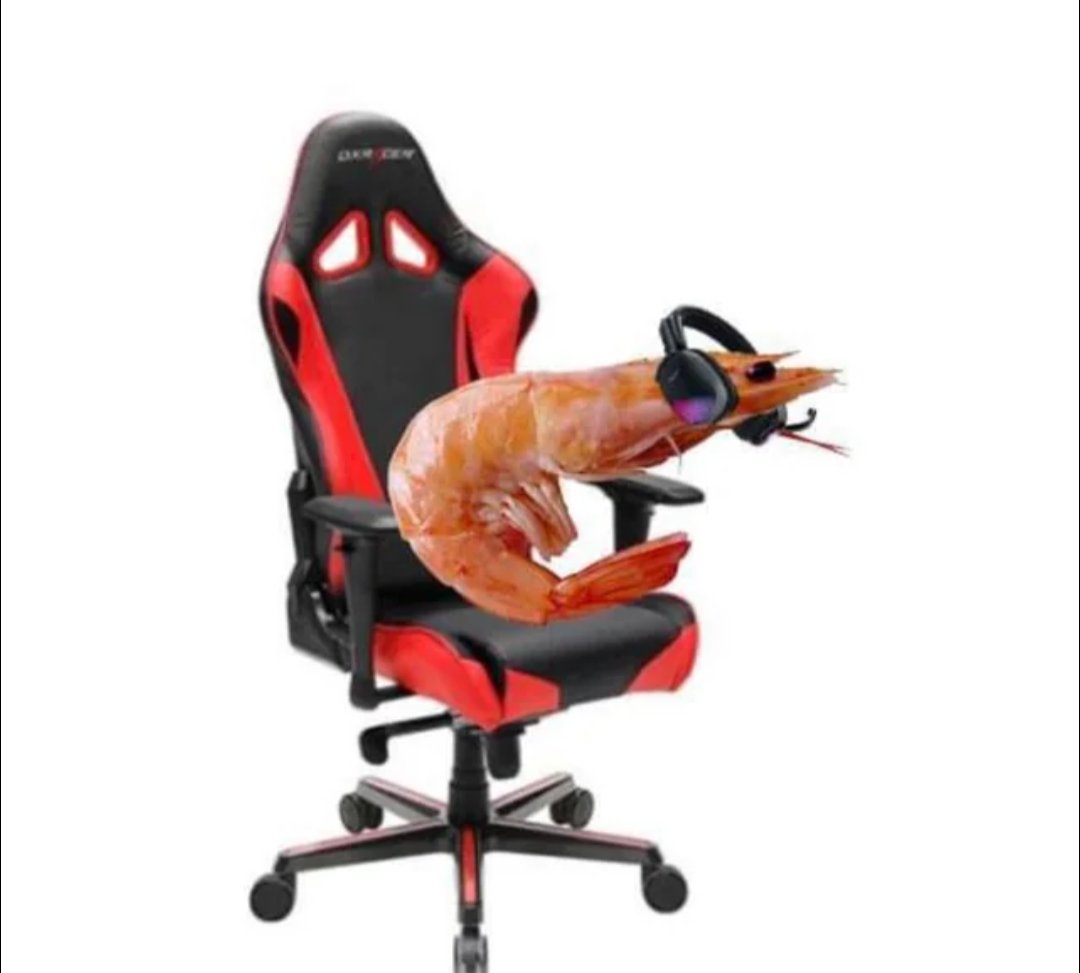 Alex 🐦⬛ tweet media