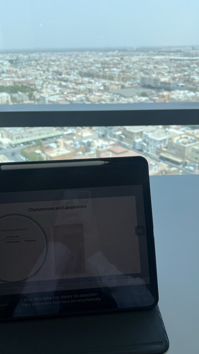 فاطمه فالح..✨ tweet media