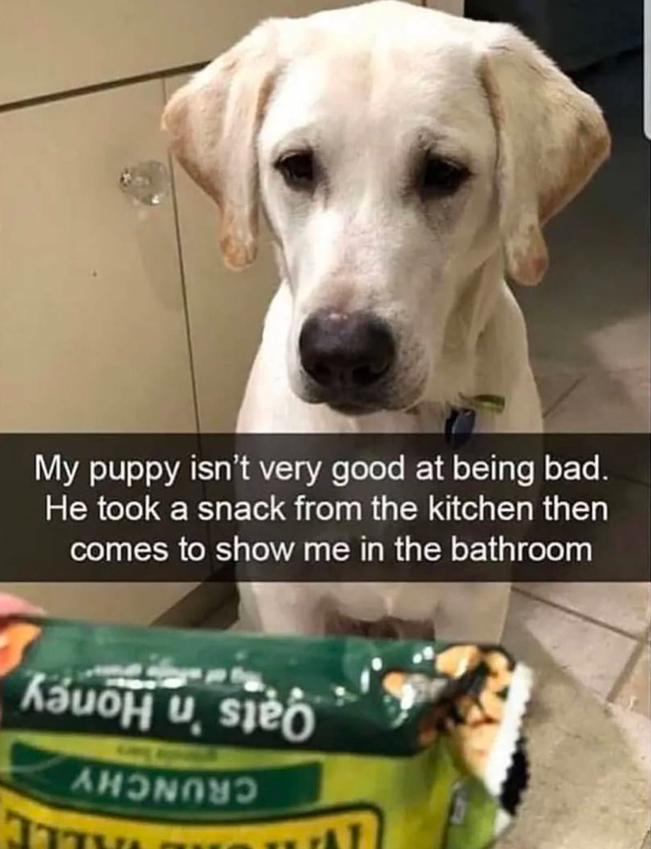 He wants you to open it 😂