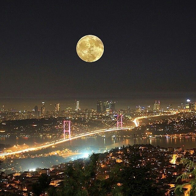 A dream night shot in Istanbul Turkiye 🇹🇷

Good night to y'all