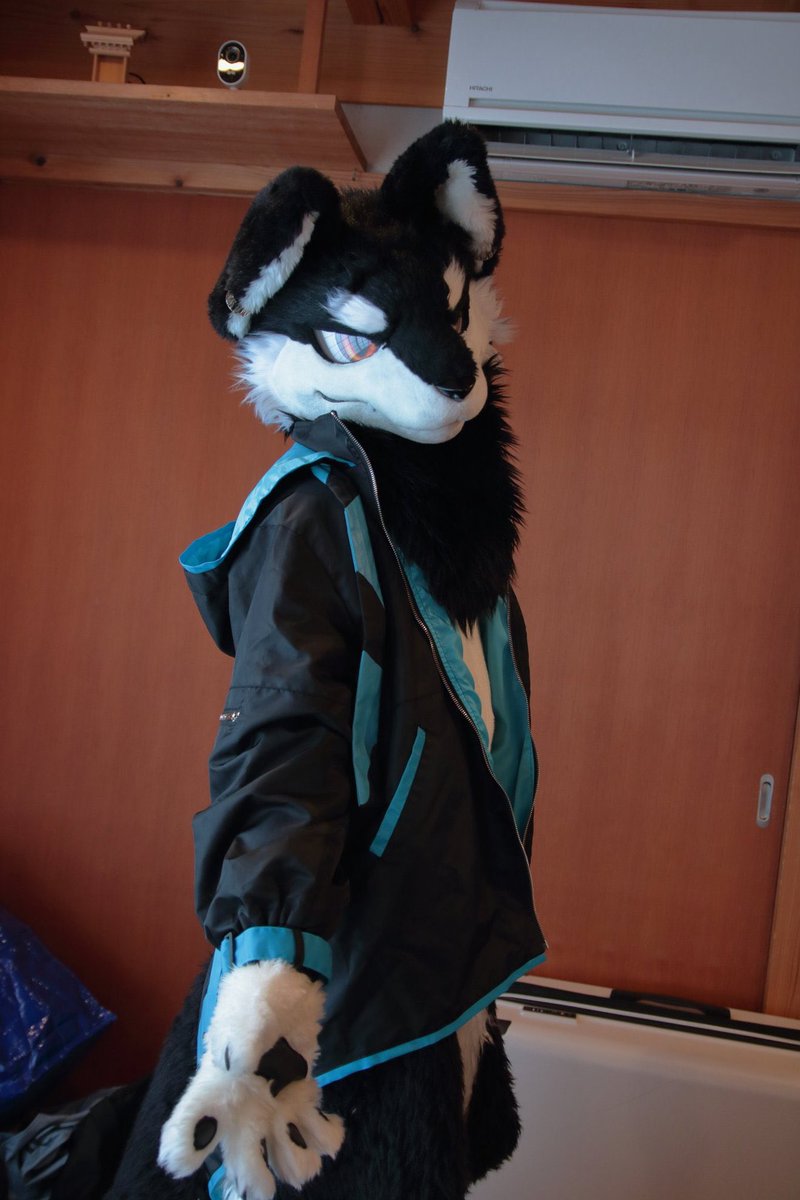 どう？似合ってる？
#FursuitsFriday