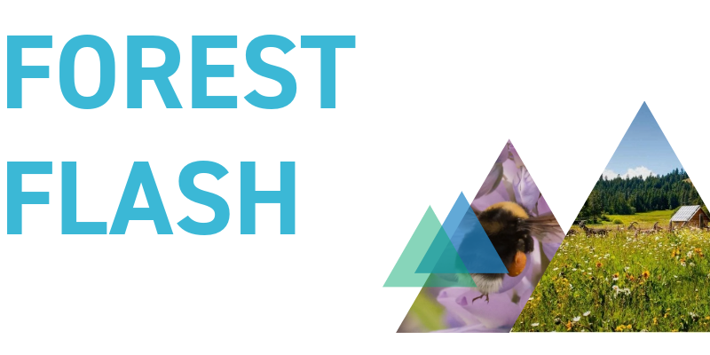 Pacific Forest Trust tweet media