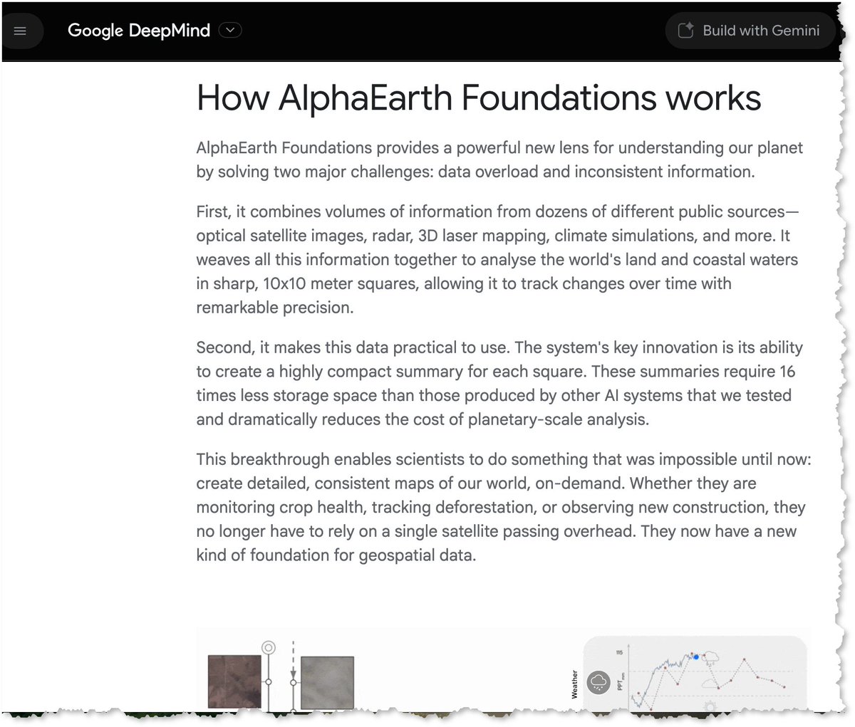 JediCat 🇺🇸 tweet media