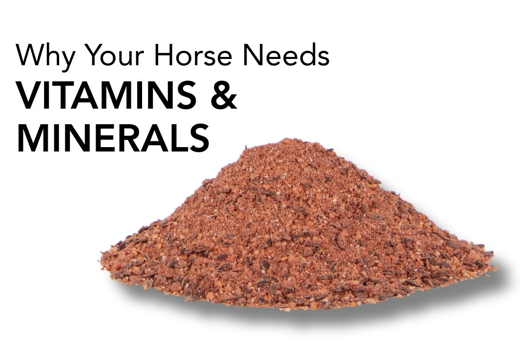 In the summer months, a very common mistake is made by many horse owners who believe that horses turned out on good grazing do not need supplemental feed.

feedmark.com/en/why-your-ho…