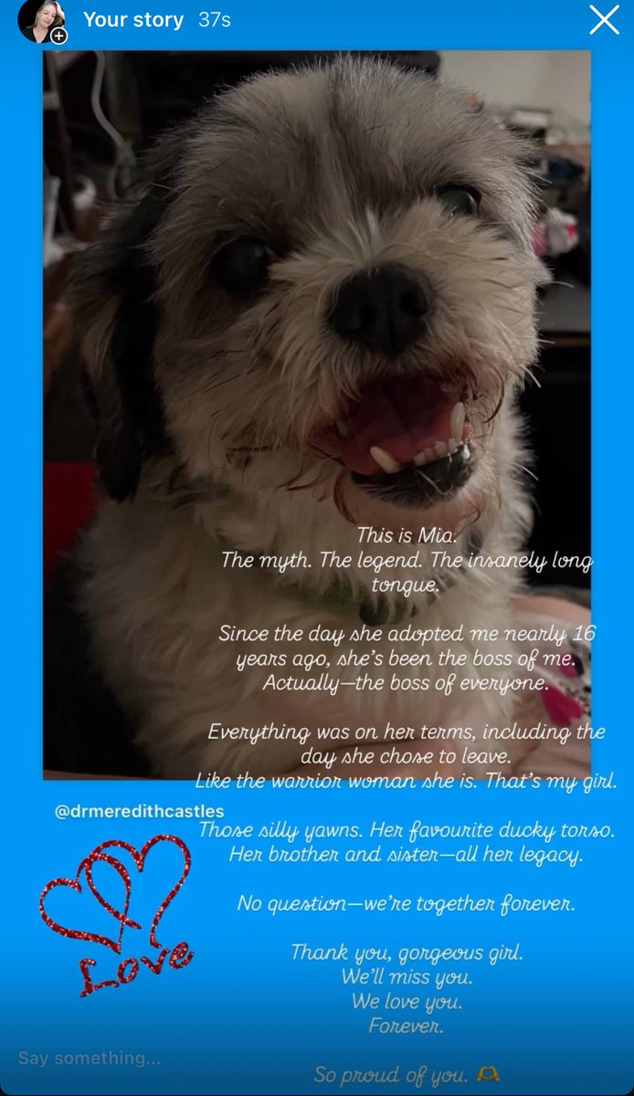 Meredith Castles (@meredithcastles) on Twitter photo 