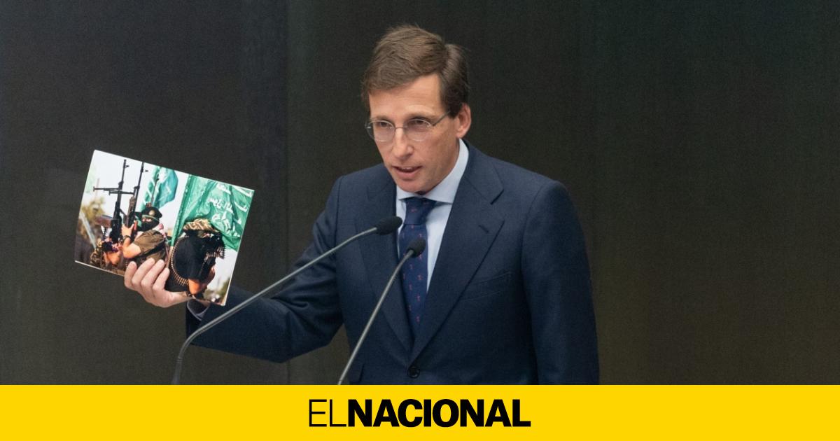 Feijóo condena los "incumplimientos" de Israel contra Gaza pero evita llamarlo genocidio.

Vaya, vaya, después de Francia y el Reino Unido . Así poco a poco nos vamos haciendo "amigos de Hamas" ¿Verdad sr Almeida ?
