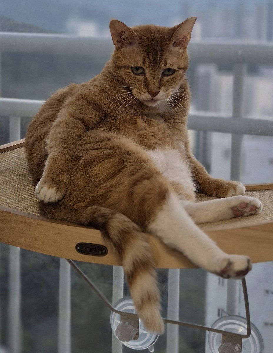 오늘부터 제가 제일 좋아하는 제리 사진