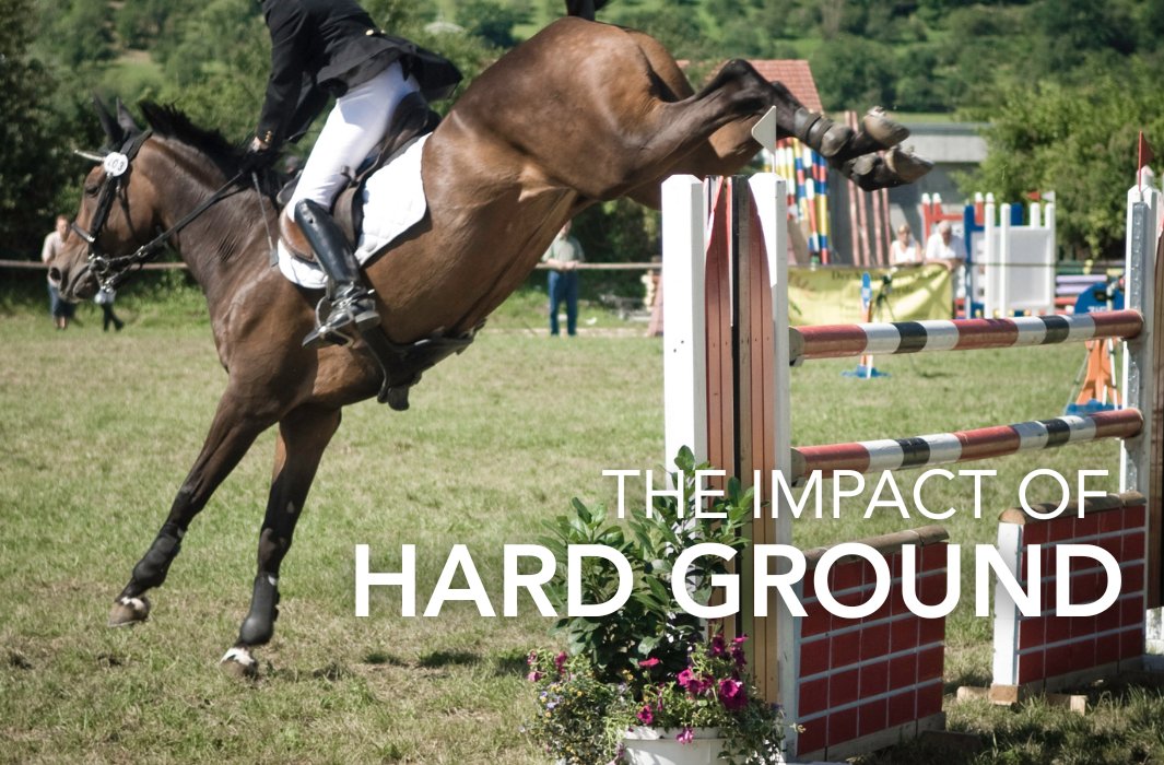 Hard ground poses a multitude of problems for our horses, so it’s important to take precautions to minimise the risks.

feedmark.com/en/the-impact-…