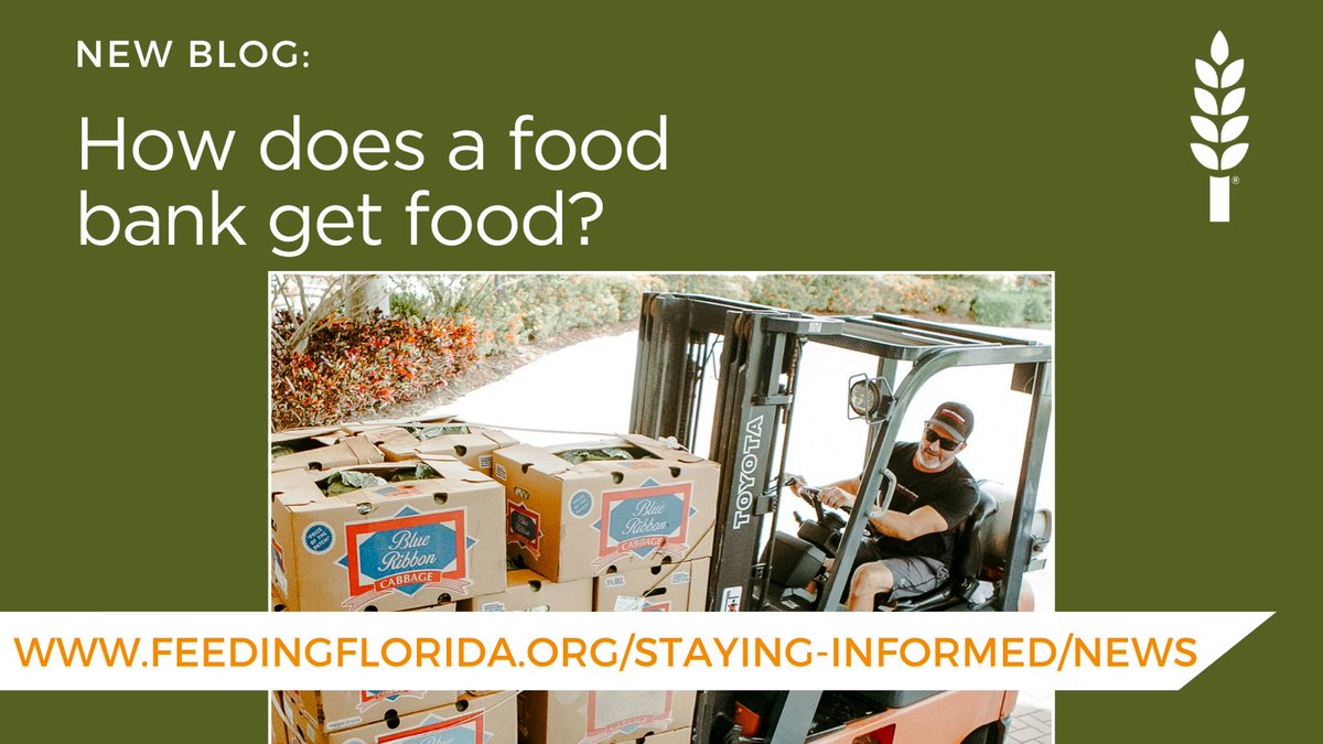 Feeding Florida tweet media