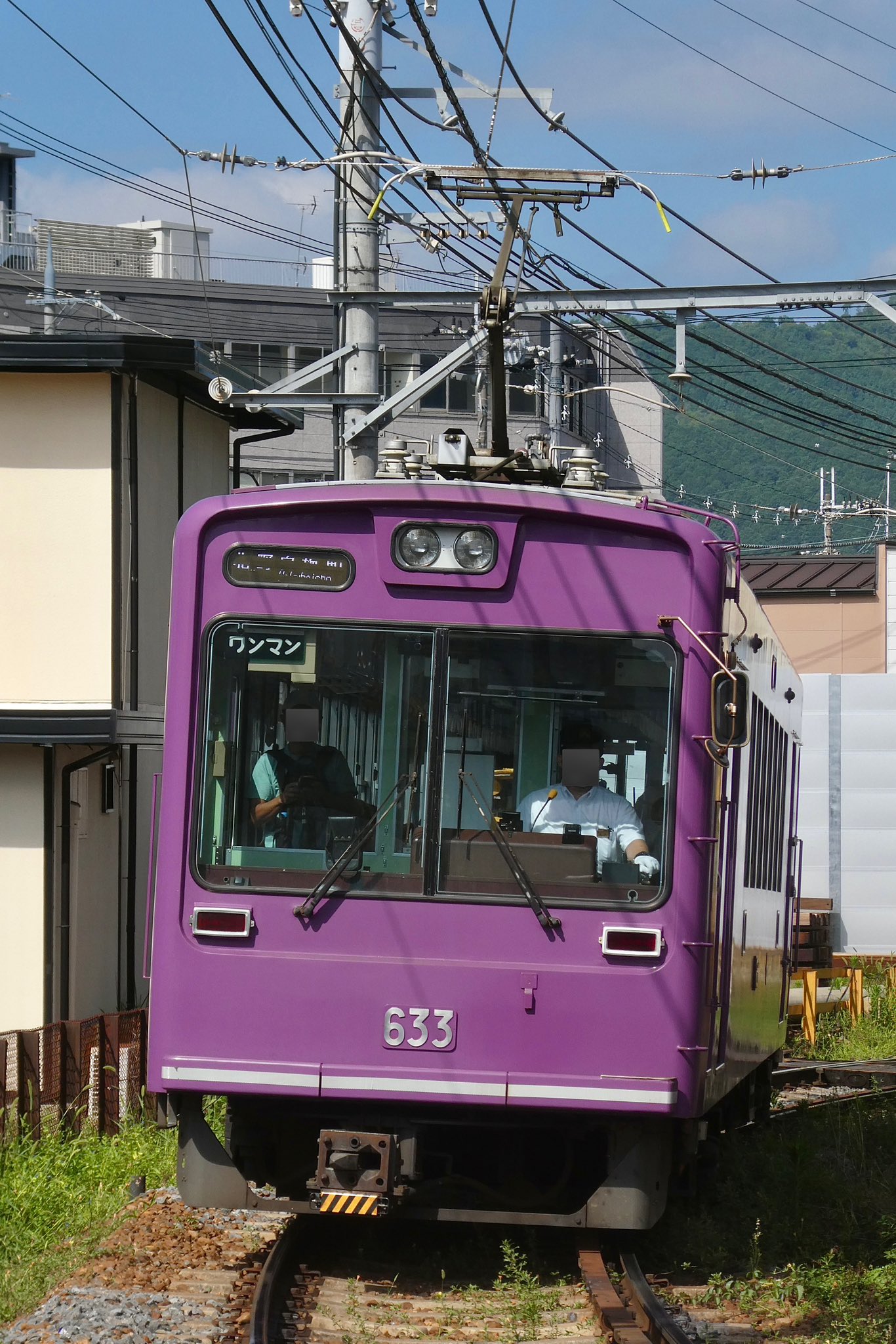 新政　ヴィンテージ　紫八咫　2012 プライベートラボ Mobo-Tetsu on X: 