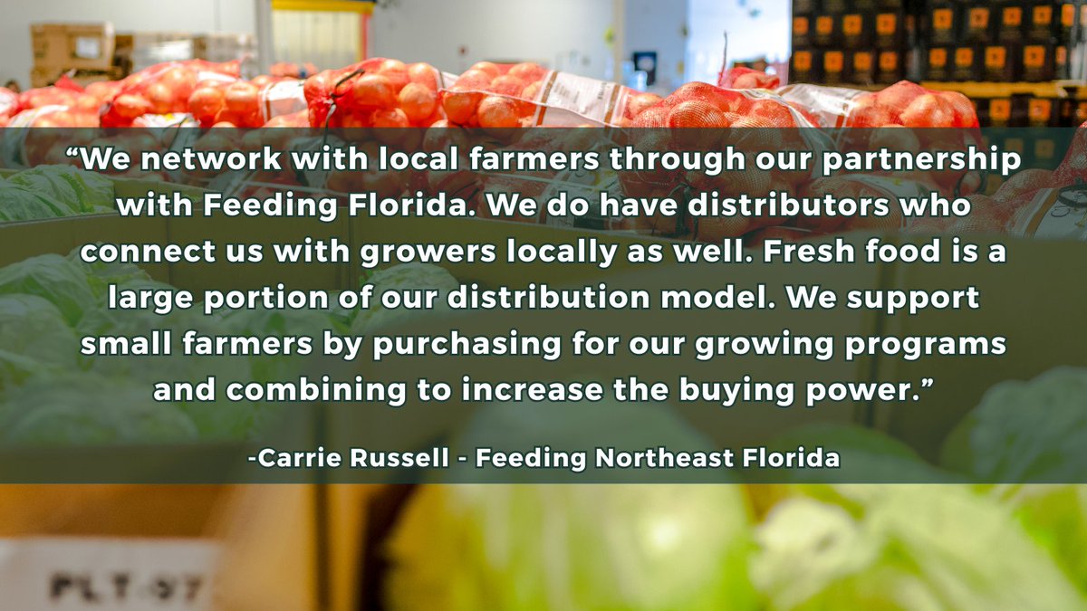 Feeding Florida tweet media