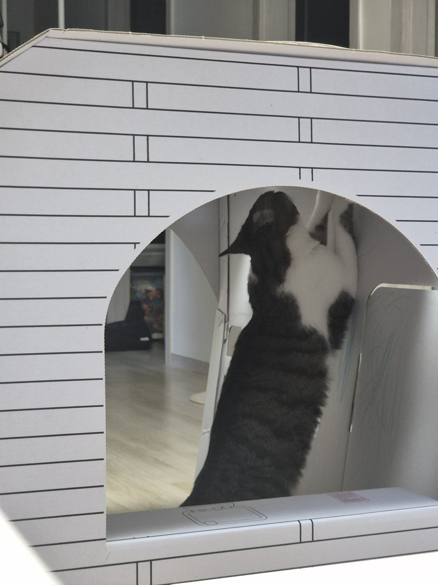 가게 전구 갈고 계신 머사장님