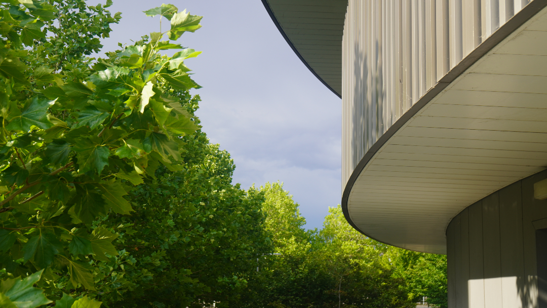 Classic English summer 🌧️☀️

At least it's good for the garden...

🧪⚙️🌱🔋

#ChemicalEngineering #Biotechnology #CambridgeUniversity