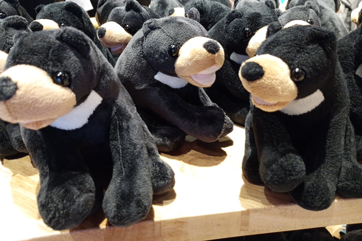 こちらマレーシアパビリオンのマレーグマのぬいぐるみです