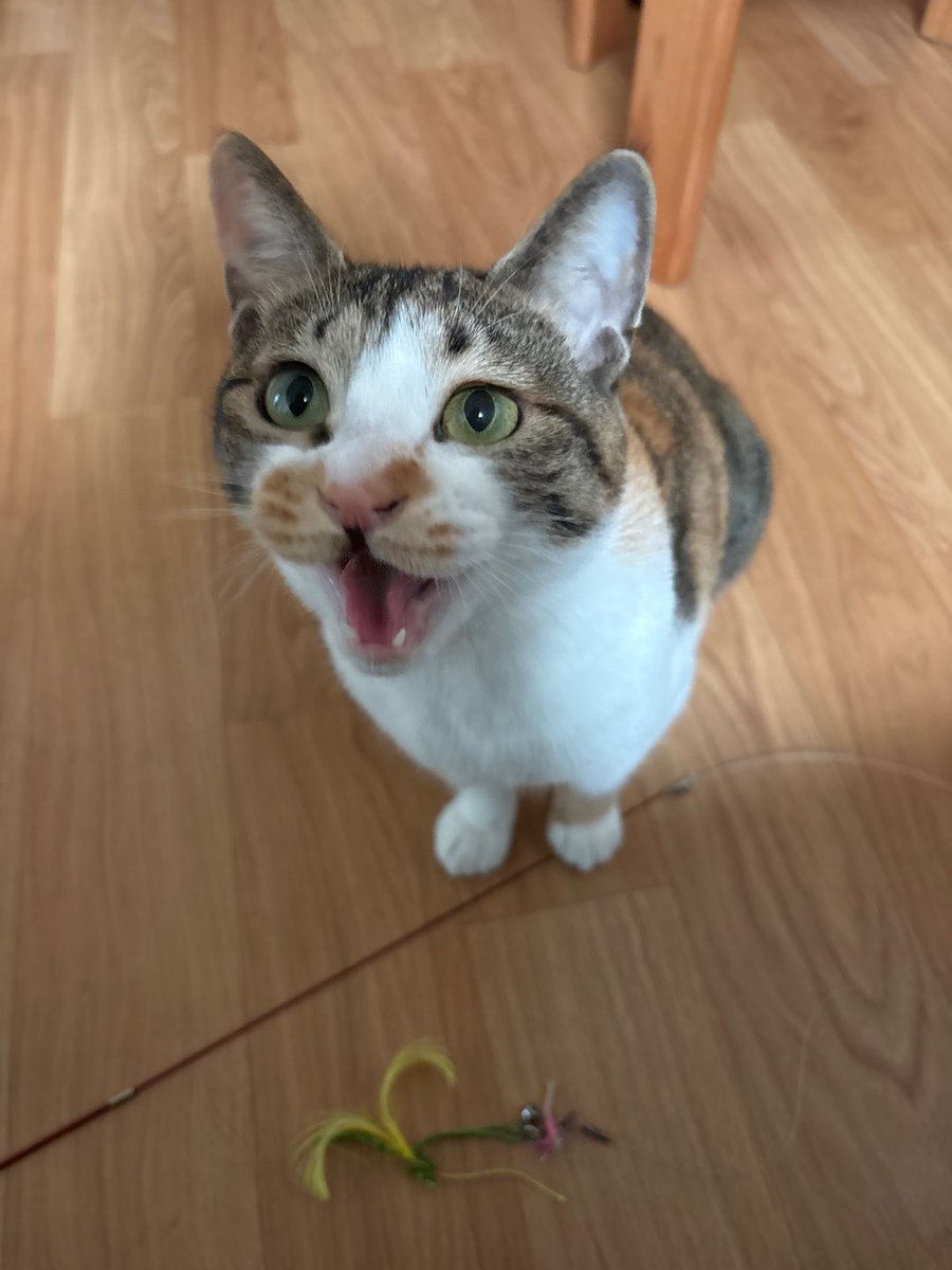 웨 안흔들어? 웨? 웨!!!!!!!!!!!!!!!!!!!!