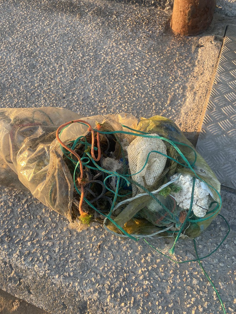 CARVE Surfing Magazine tweet media