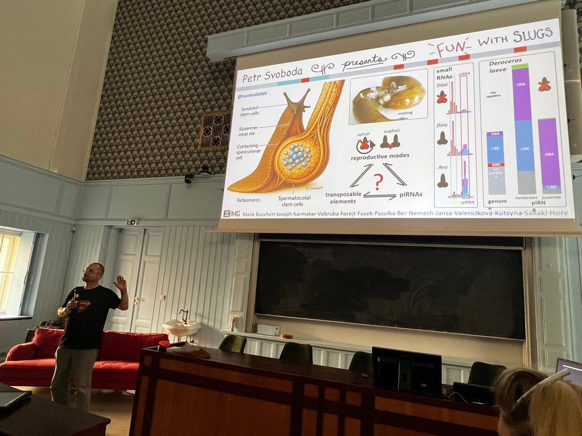 Itai Yanai (@itaiyanai) on Twitter photo Woodstock Night Science – the conference that took place June 10-13 in Prague – belongs to the ages now. Though Oded & I proposed the idea, it was Petr Svoboda (<a href="/SvobodaLab/">Petr Svoboda</a>) who ran with it & made it such a huge success with his vision for organized chaos!
nature.com/articles/d4158… Woodstock Night Science – the conference that took place June 10-13 in Prague – belongs to the ages now. Though Oded & I proposed the idea, it was Petr Svoboda (<a href="/SvobodaLab/">Petr Svoboda</a>) who ran with it & made it such a huge success with his vision for organized chaos!
nature.com/articles/d4158…