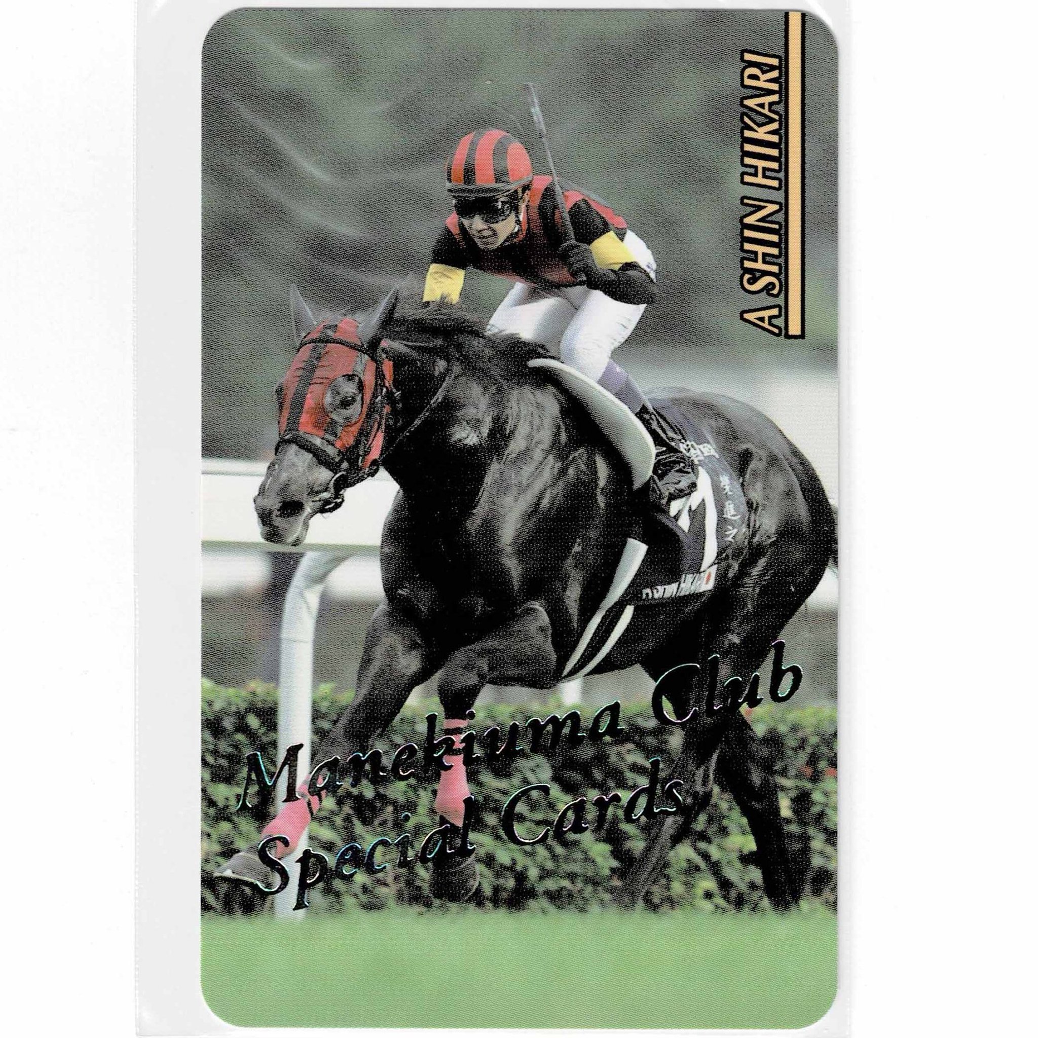 タマモクロス レインボーカード No.424 まねき馬 東ハト 2025年最新】まねき馬レインボーカードの人気アイテム - メルカリ