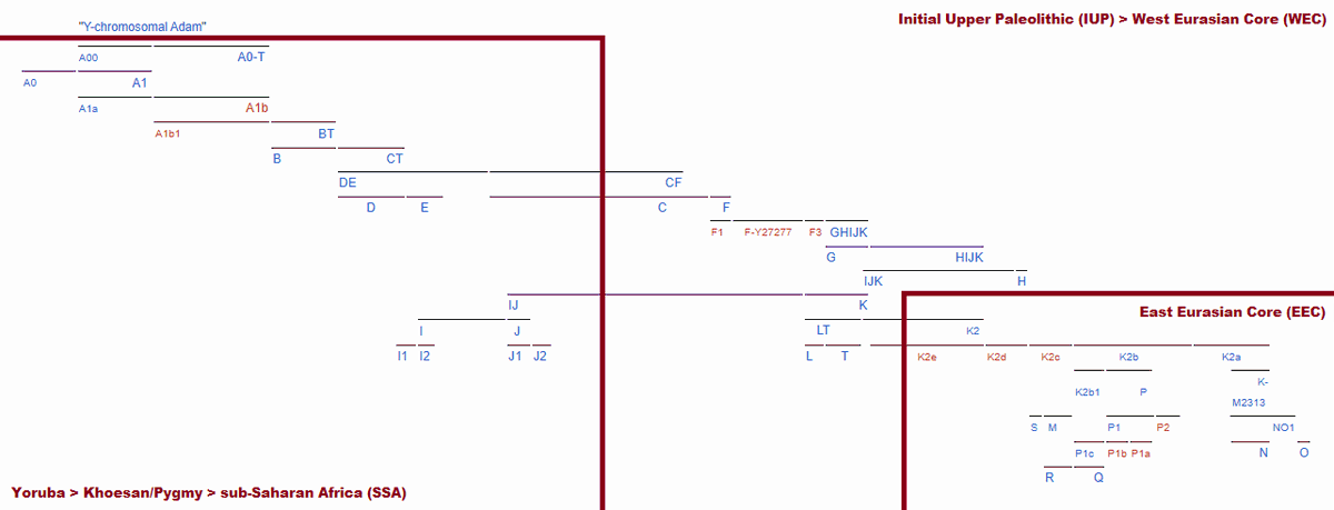 SheikhAbrahams's tweet photo. @Sheikh_Abrahams Y-Adam atDNA Root:
Inside branches root from A to T not evidence that all haplogroups of African ancestry

African Ancestry:
For haplogroups admixed inside Africa such A/B/DE/IJ then later entry to Africa such R1b/T1a1 etc

OoA Out of Africa is fake theory
https://t.co/XwnhMJGl1I https://t.co/B0cVbZhNSk