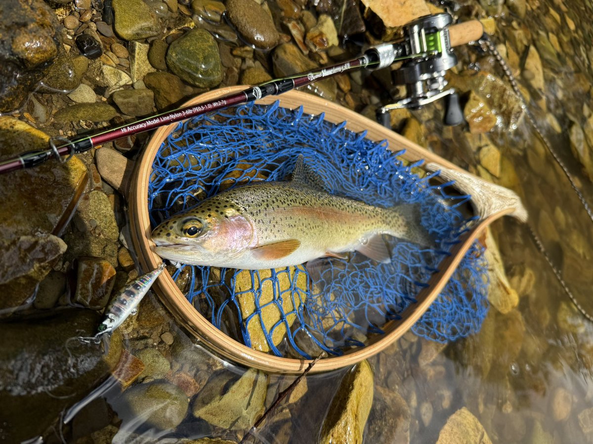 oga_0624_'s tweet photo. 渓流へ癒されに!
ミニニジに沢山遊んでもらいました!
#fishman
#フィッシュマン
#ブランシエラ52ul
#blancsierra52ul
#アトミックスライダー
#atomicslider
#プロトナイロンショックリーダー2.5号
#bassday
#もののふ50s https://t.co/fT6nHfjQkE