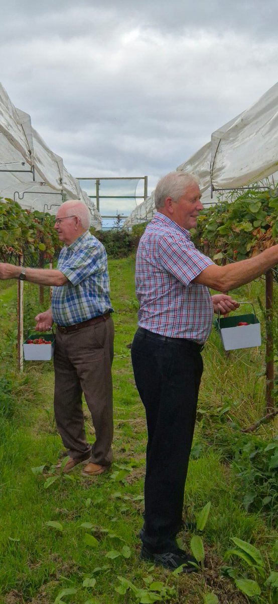 Rural Health Partnership tweet media