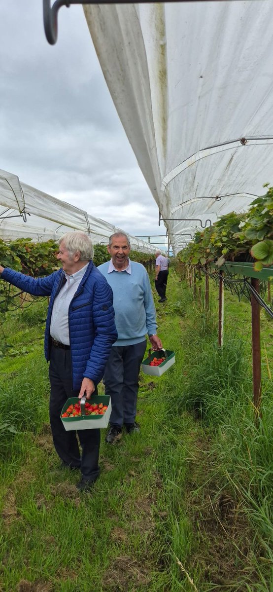 Rural Health Partnership tweet media