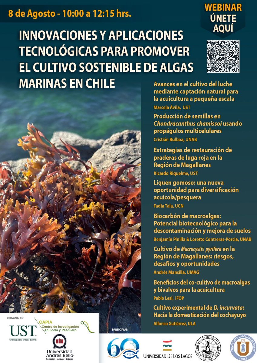 Loretto Contreras Porcia (@lorettocp) on Twitter photo 