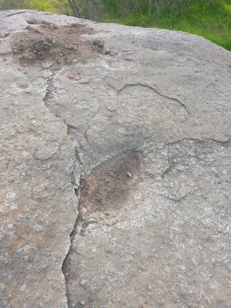 José Luis Brito M. (@jlbritonativo) on Twitter photo Conociendo las piedras tacitas arqueológicas del estero Puangue <a href="/Monumentos_cl/">Consejo de Monumentos Nacionales de Chile</a> <a href="/patrimonio_cl/">Patrimonio_cl</a> <a href="/proa_sanantonio/">Diario El Proa</a> <a href="/diarioellider/">Diario El Lider</a> <a href="/culturasvalpo/">Culturas Valparaíso</a> <a href="/RedHumedalesCH/">Red Plurinacional Humedales de Chile</a> <a href="/RedNoticiasVR/">RedNoticiasVRegión</a> Conociendo las piedras tacitas arqueológicas del estero Puangue <a href="/Monumentos_cl/">Consejo de Monumentos Nacionales de Chile</a> <a href="/patrimonio_cl/">Patrimonio_cl</a> <a href="/proa_sanantonio/">Diario El Proa</a> <a href="/diarioellider/">Diario El Lider</a> <a href="/culturasvalpo/">Culturas Valparaíso</a> <a href="/RedHumedalesCH/">Red Plurinacional Humedales de Chile</a> <a href="/RedNoticiasVR/">RedNoticiasVRegión</a>