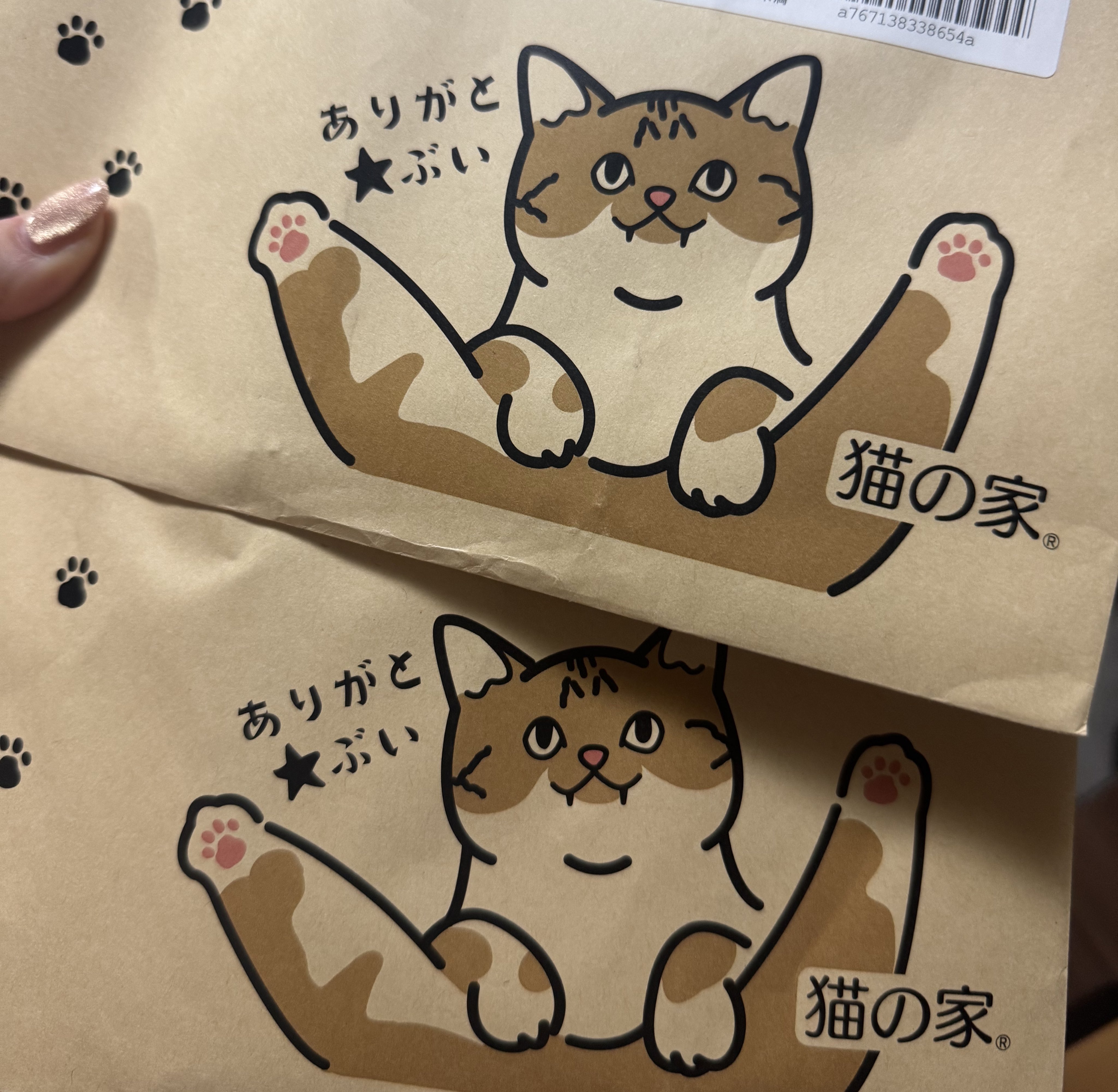 猫の家® (@nekonoie2) / X