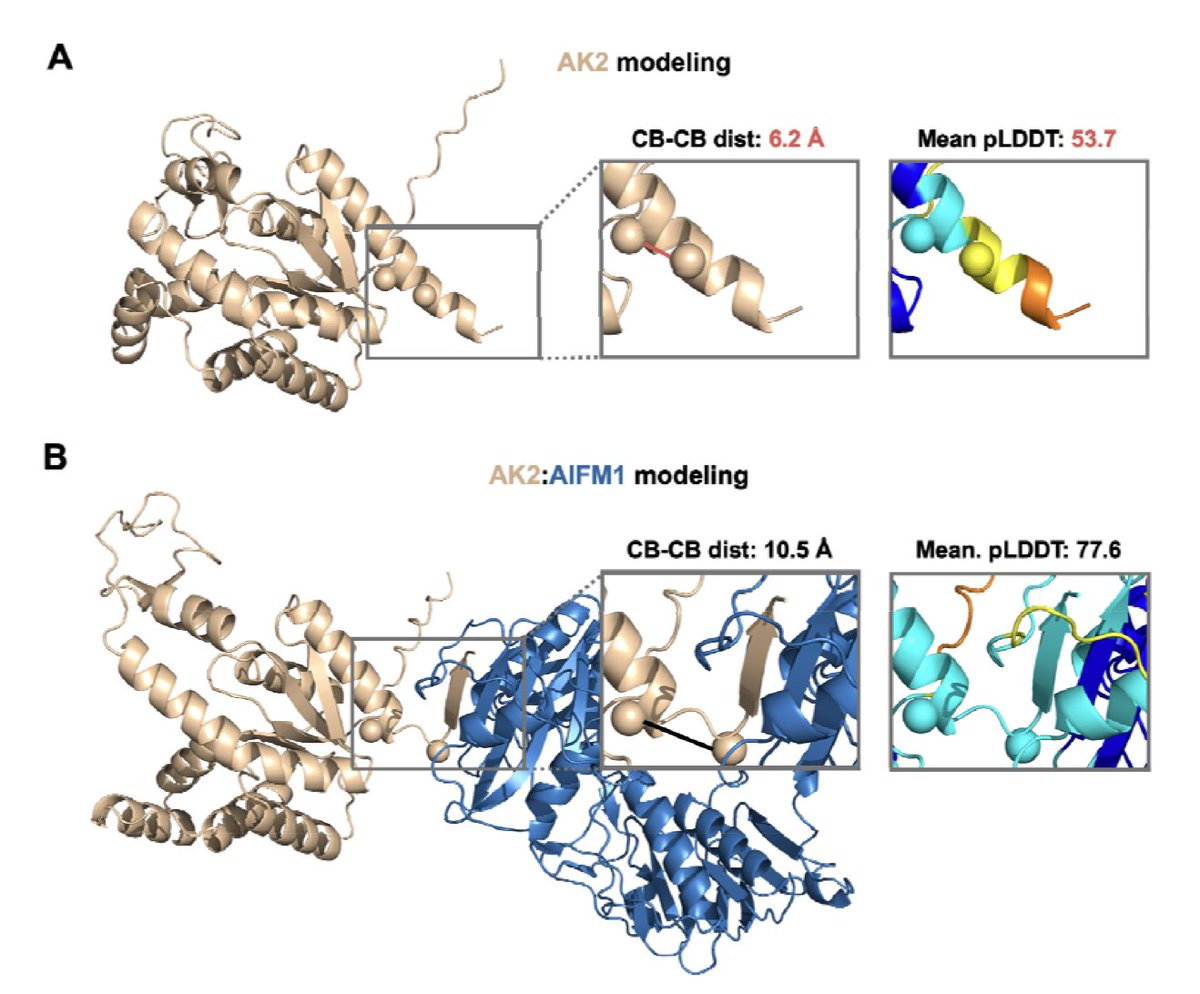 BiologyAIDaily's tweet image. Exploring the Potential of AlphaFold Distograms for Flexibility Assignment in Cryo-EM Maps

1. A new study investigates whether AlphaFold-generated distograms can capture conformational flexibility in cryo-EM maps, focusing on the AIFM1/AK2 complex. The research shows that…