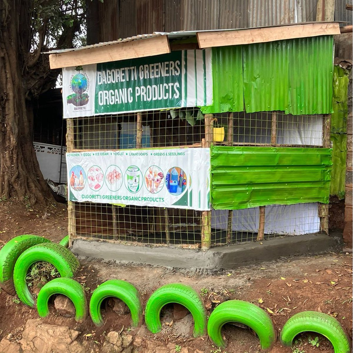Mazingira Institute (@mazinstitute) on Twitter photo From Trainee to Mentor
John Gichimu from <a href="/DagorettiG55803/">Dagoretti Greeners Community CBO</a> trained in Aug 2024 & today he came to mentor trainees.
Before, they grew fruit trees & now expanded into poultry & have a market stall.
His message:Start small, Use what you have!
Supported by <a href="/CanadaDev/">Development Canada</a> <a href="/RooftopsCanada/">Rooftops Canada/Abri</a> From Trainee to Mentor
John Gichimu from <a href="/DagorettiG55803/">Dagoretti Greeners Community CBO</a> trained in Aug 2024 & today he came to mentor trainees.
Before, they grew fruit trees & now expanded into poultry & have a market stall.
His message:Start small, Use what you have!
Supported by <a href="/CanadaDev/">Development Canada</a> <a href="/RooftopsCanada/">Rooftops Canada/Abri</a>