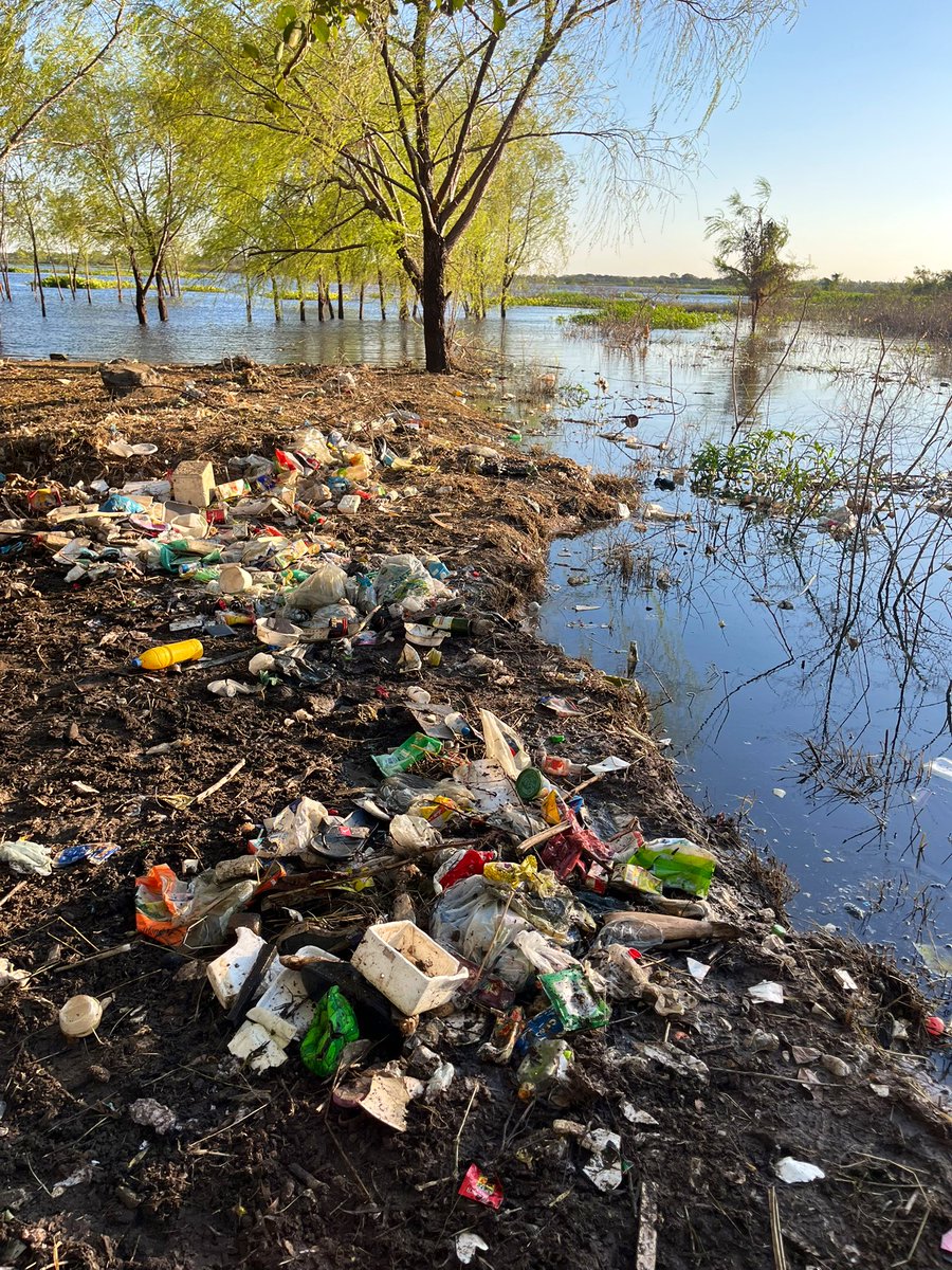 AsuDsu's tweet photo. 🌊 El equipo Mbusu trabaja de forma permanente en la limpieza de la bahía de Asunción, a la altura de la Costanera. 

Tras cada lluvia, la acumulación de basura es significativa.

🚫 No arrojés residuos que contaminen nuestros cauces. Cuidar el agua es proteger nuestro futuro.💦 https://t.co/GFiogY413M