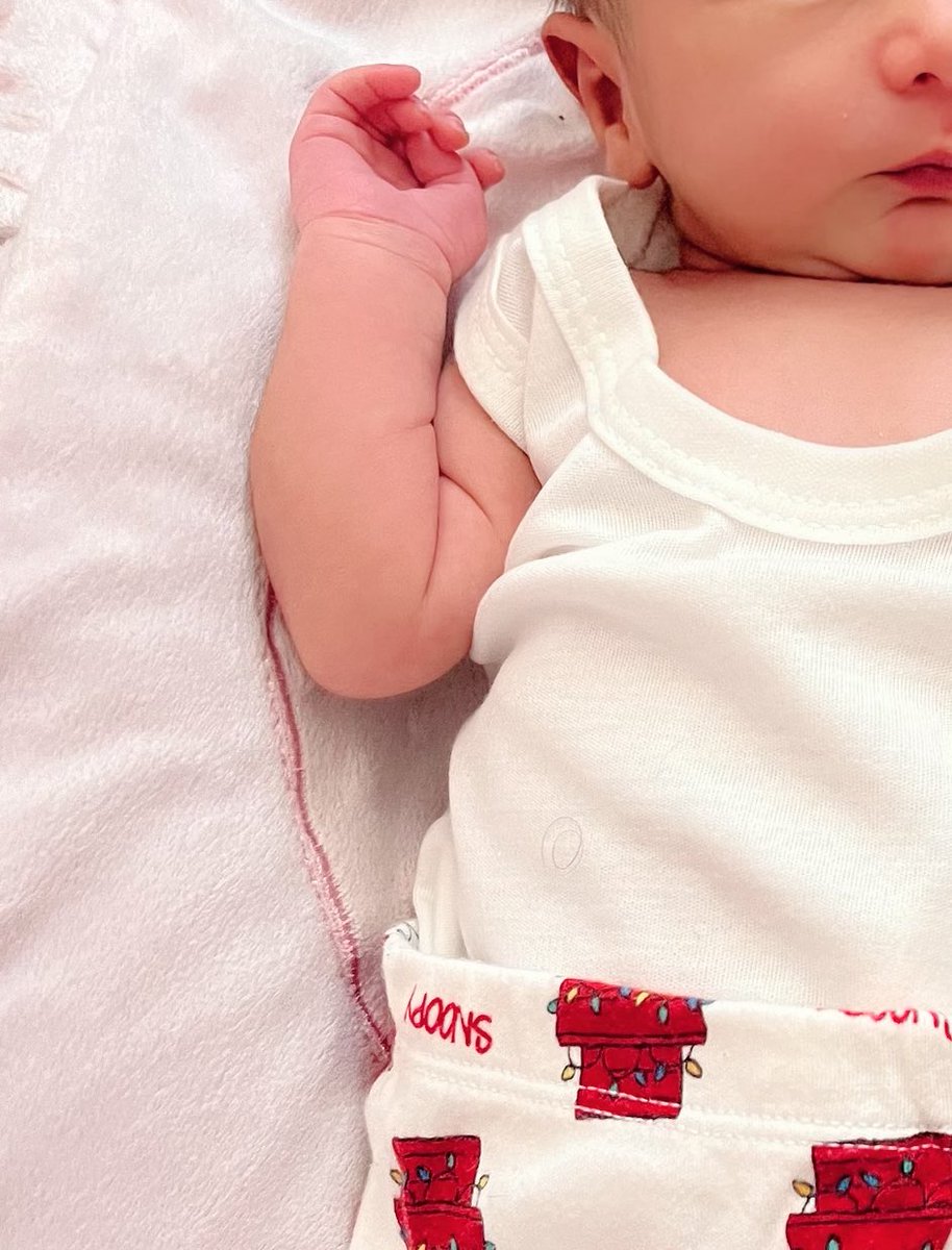 nlfgnc's tweet photo. با این نخود فرنگی چی کار کنم من؟🥺♥️🥹 https://t.co/lnhJR9uh9C